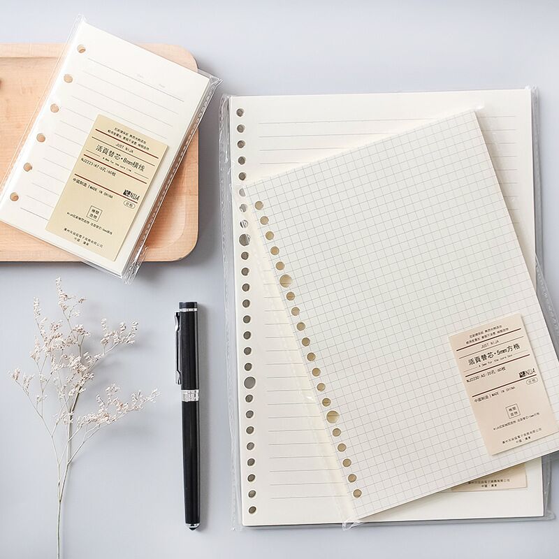 A5 B5 Line Grid 20Holes Loose- - A5 Spiral Dotted Grid Notebook review and price