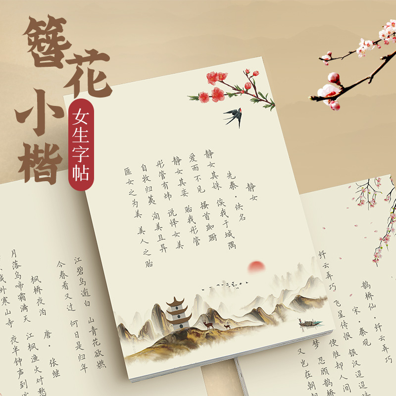 Hairpin Flower Small Kai Calli - Chinese Calligraphy Practice Book review and price